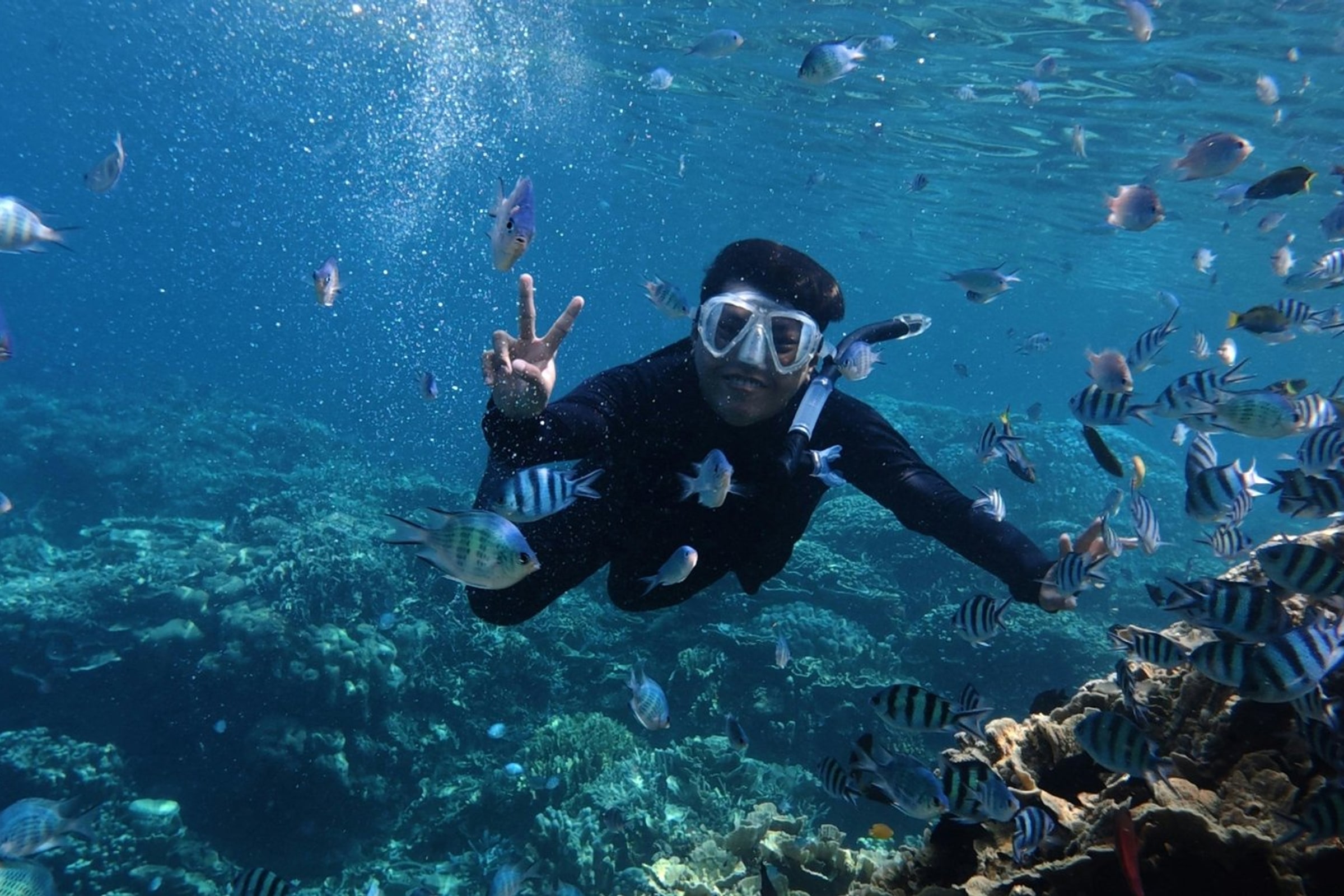 Dolphin Watching & Snorkeling Experience
